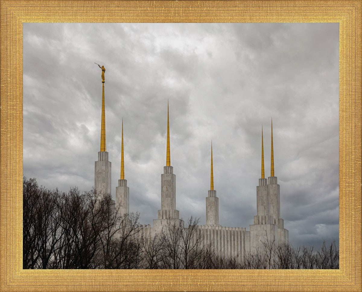 Washington DC Through Life's Storms