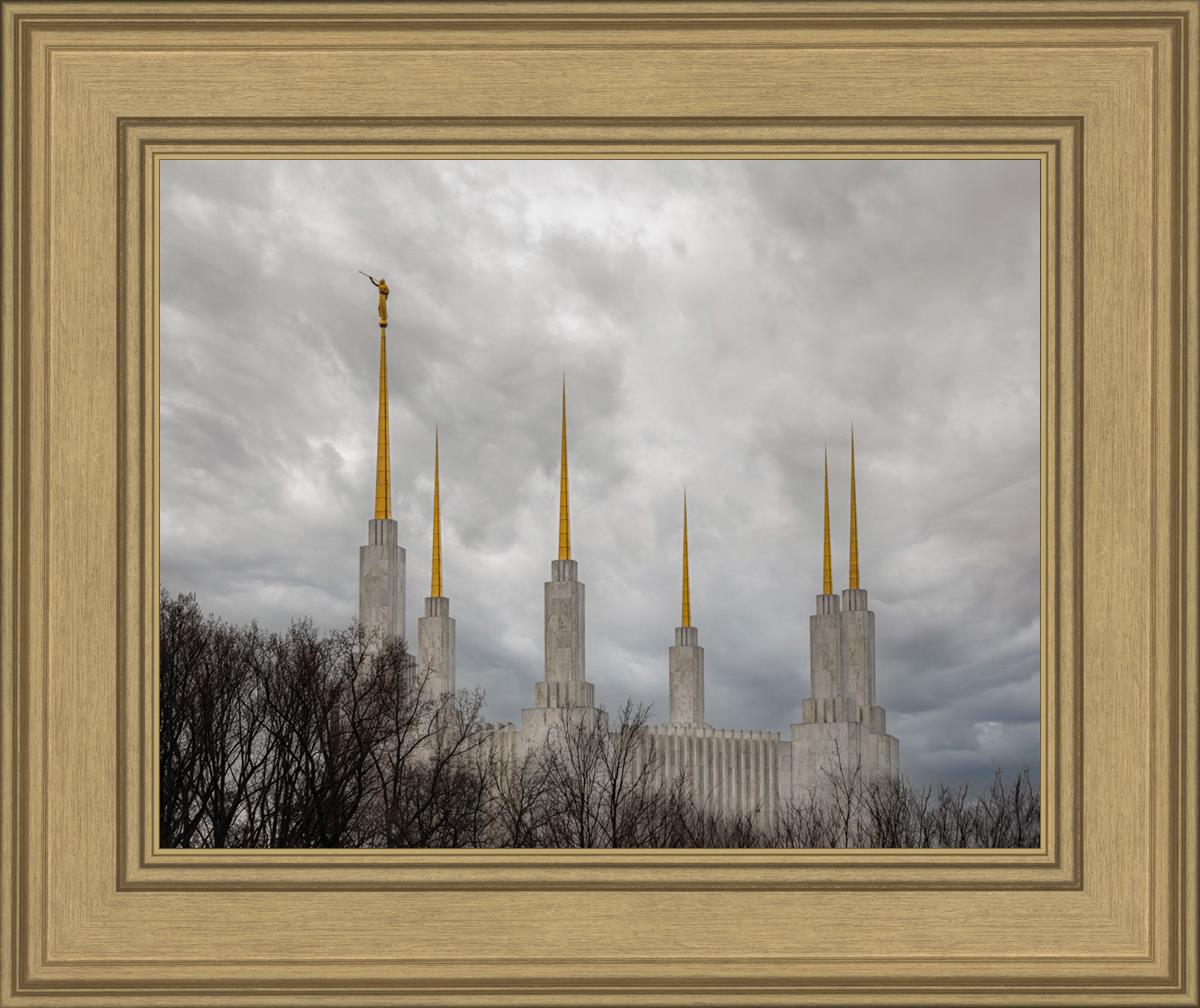 Washington DC Through Life's Storms