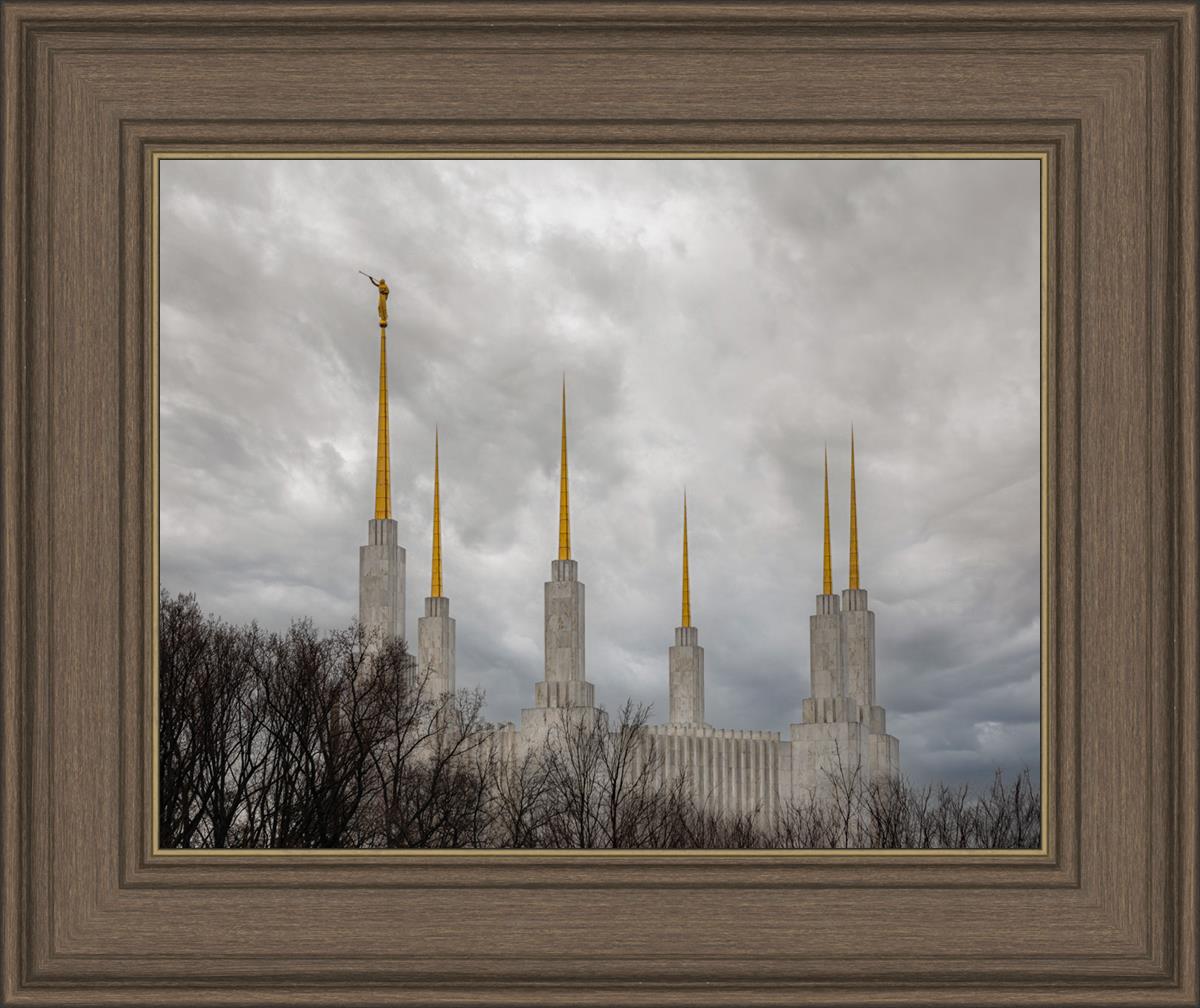 Washington DC Through Life's Storms