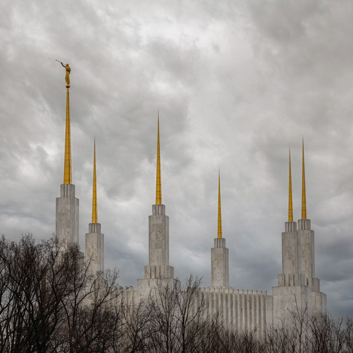 Washington DC Through Life's Storms Gallery Wrap