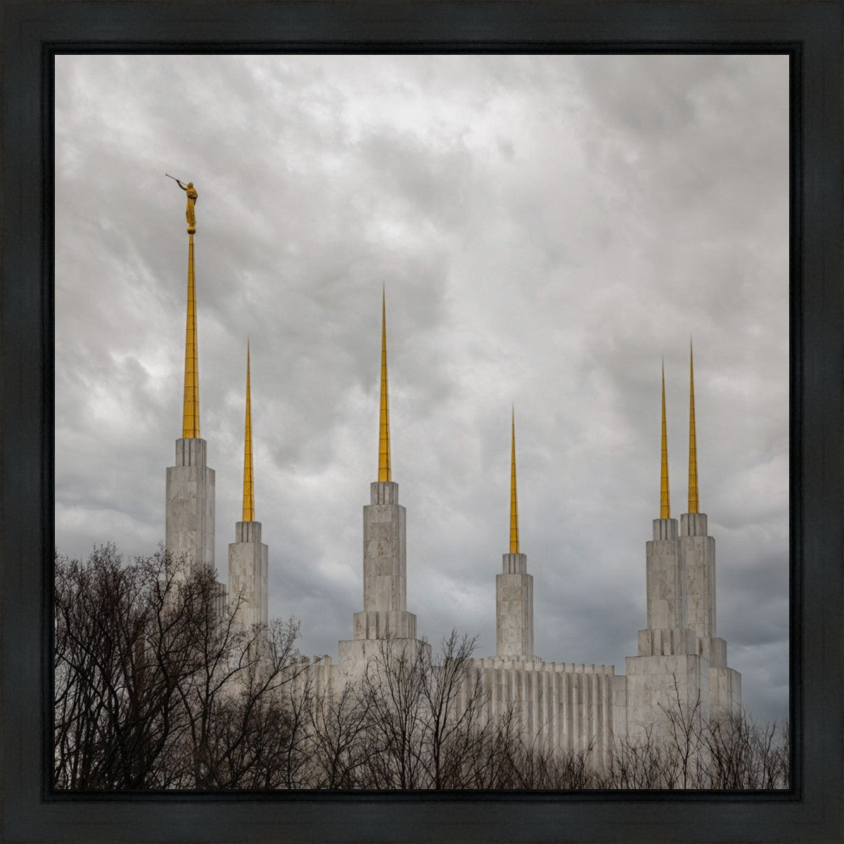 Washington DC Through Life's Storms Gallery Wrap