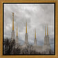 Washington DC Through Life's Storms