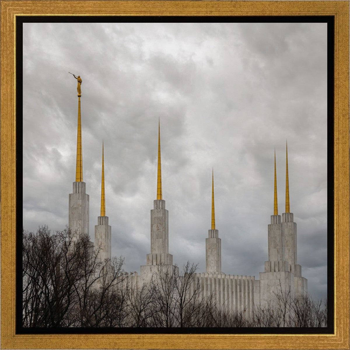 Washington DC Through Life's Storms Gallery Wrap