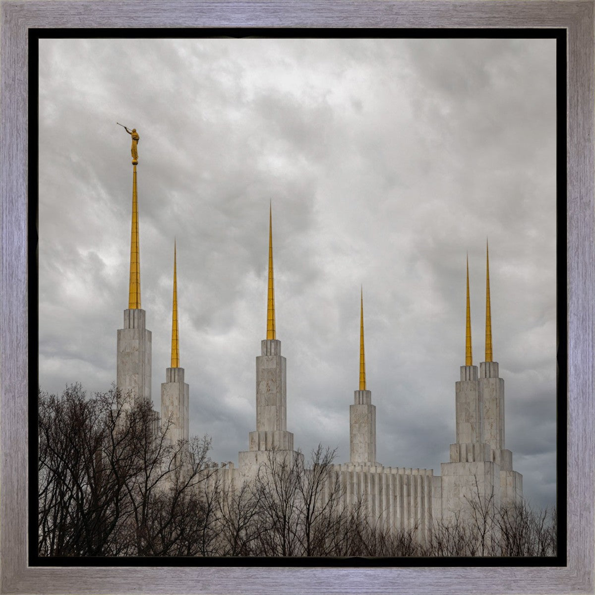 Washington DC Through Life's Storms Gallery Wrap