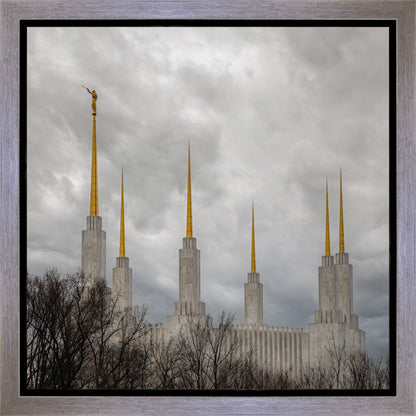 Washington DC Through Life's Storms