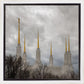 Washington DC Through Life's Storms