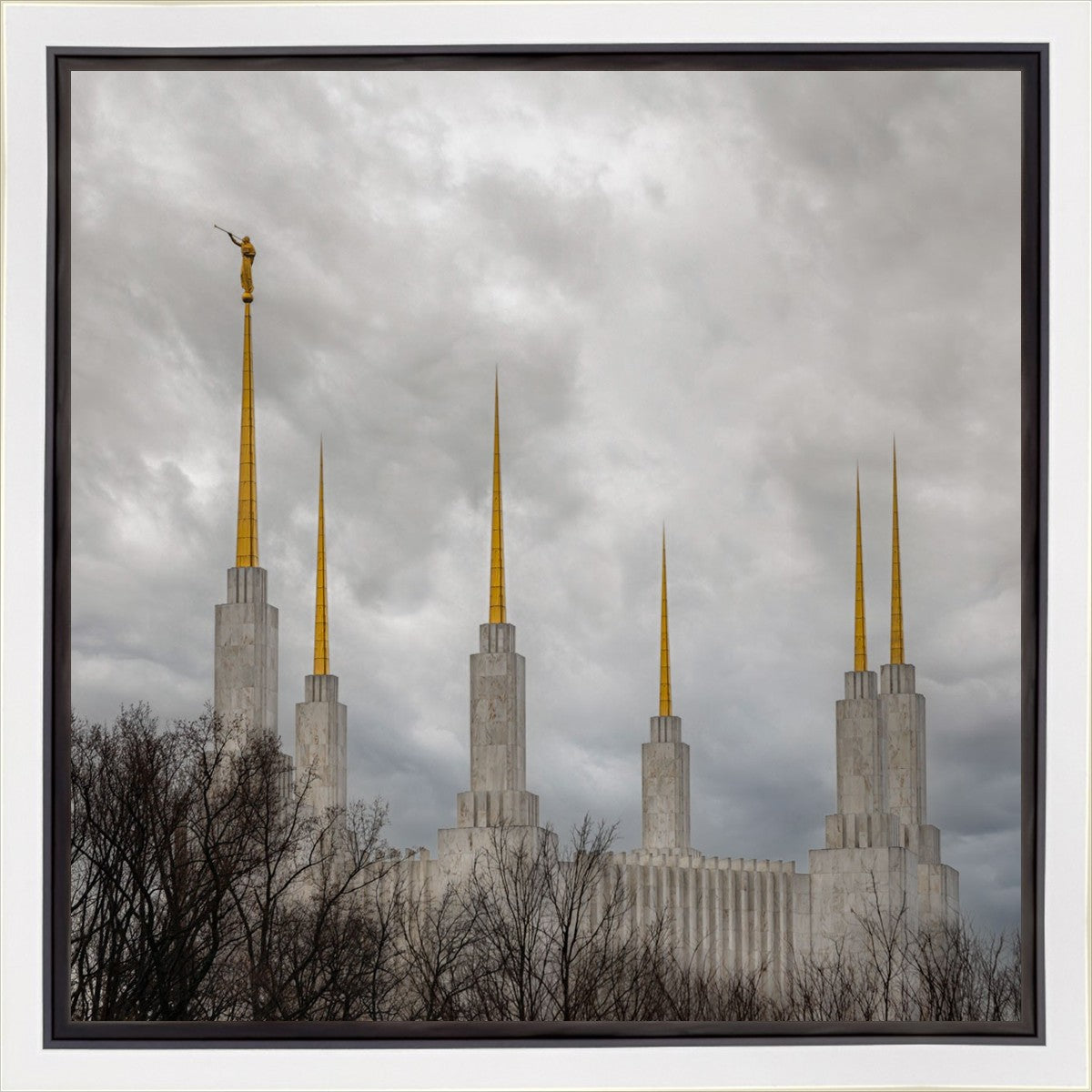 Washington DC Through Life's Storms Gallery Wrap