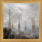 Washington DC Through Life's Storms