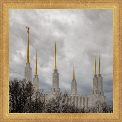 Washington DC Through Life's Storms