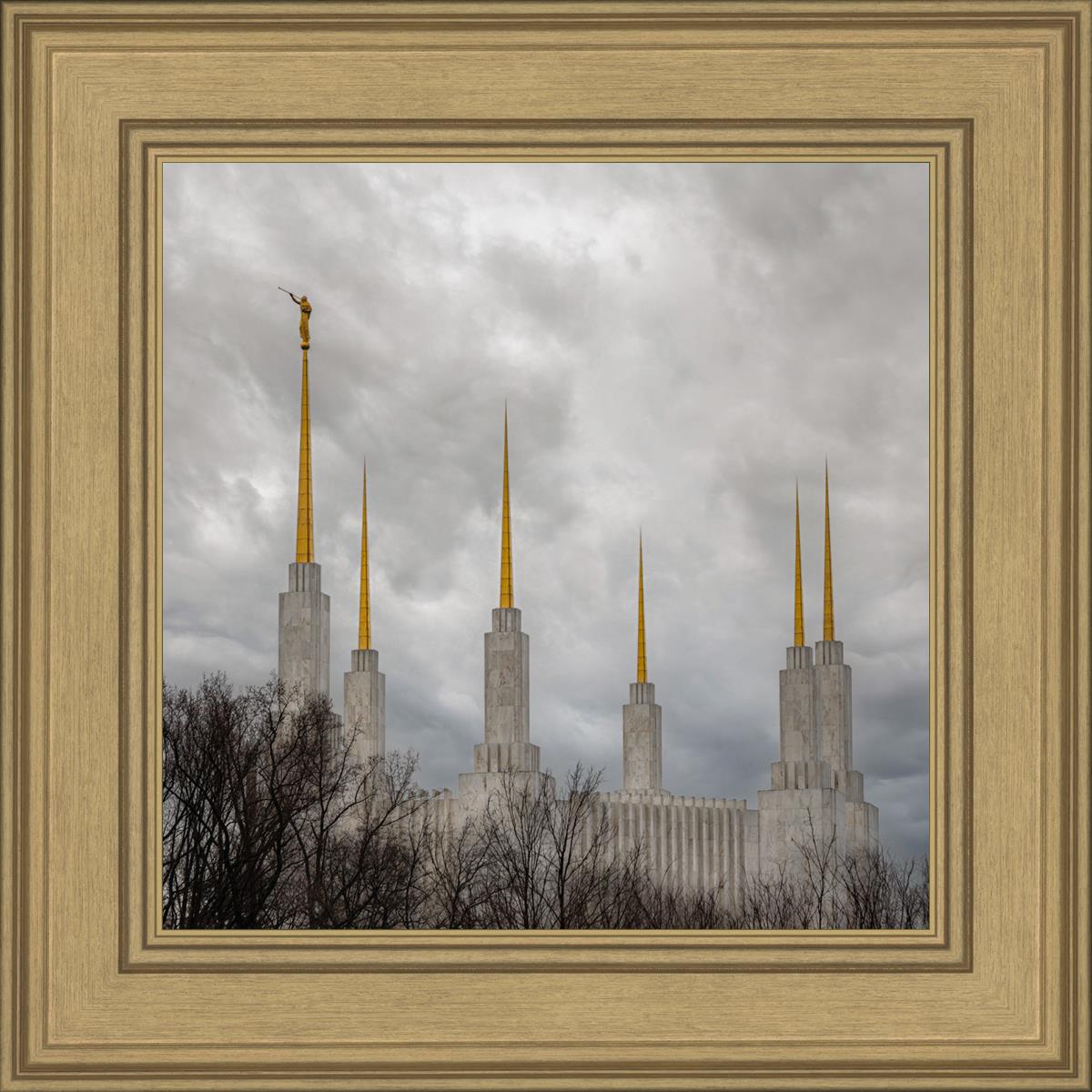 Washington DC Through Life's Storms