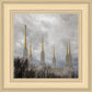 Washington DC Through Life's Storms