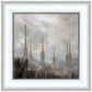 Washington DC Through Life's Storms