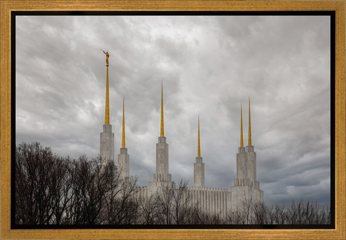 Washington DC Through Life's Storms Gallery Wrap