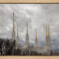 Washington DC Through Life's Storms