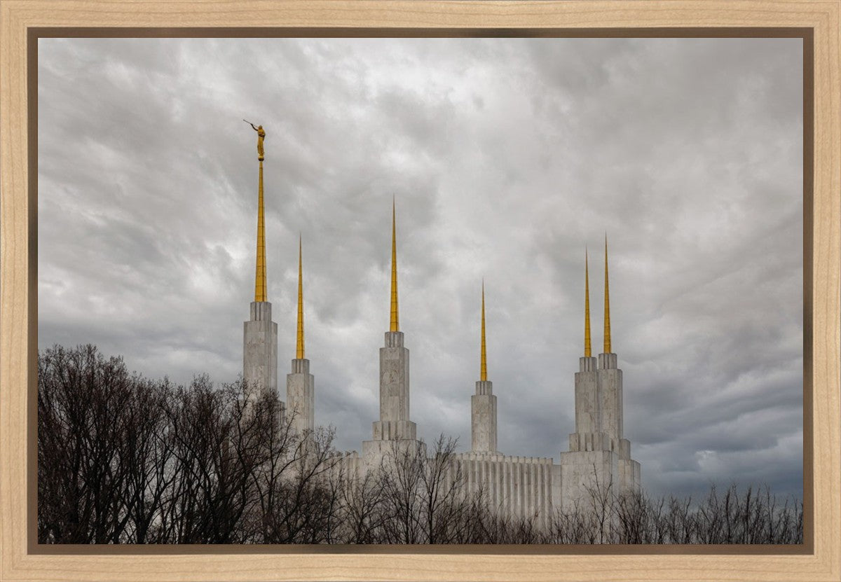 Washington DC Through Life's Storms Gallery Wrap