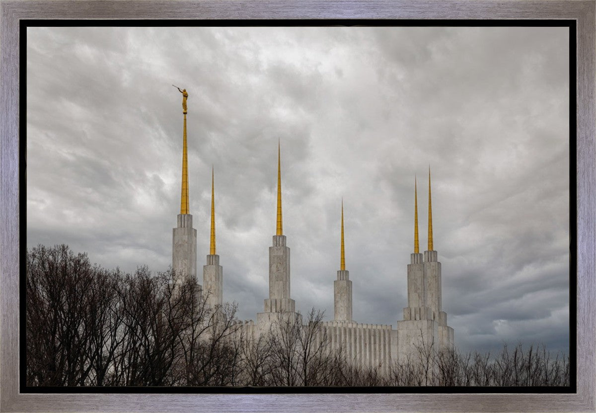 Washington DC Through Life's Storms Gallery Wrap