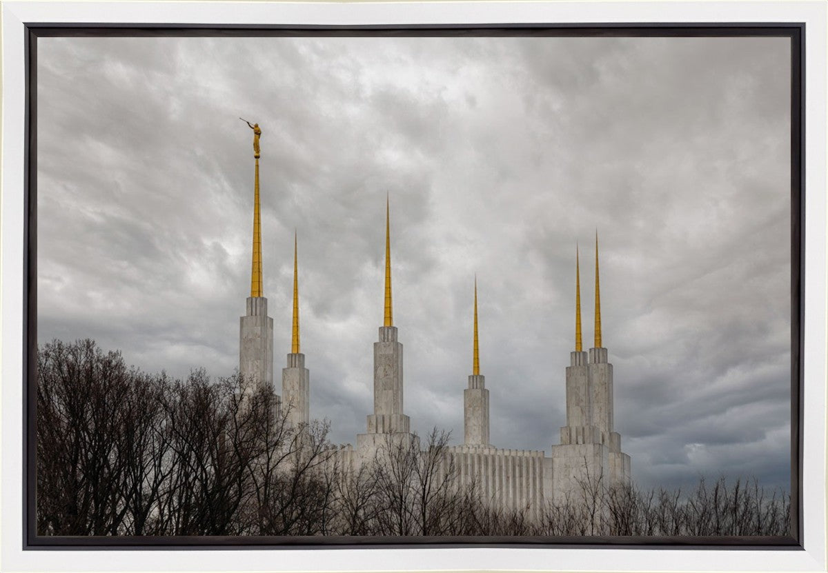 Washington DC Through Life's Storms Gallery Wrap