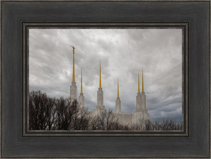 Washington DC Through Life's Storms