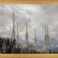 Washington DC Through Life's Storms