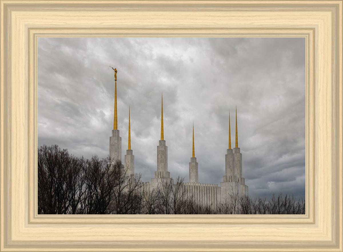 Washington DC Through Life's Storms