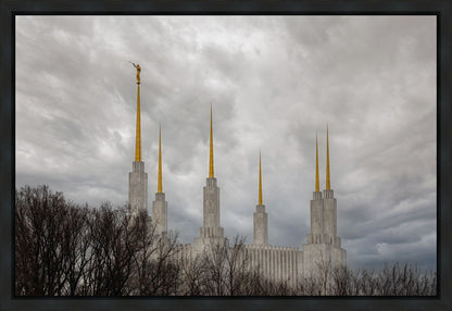 Washington DC Through Life's Storms