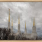 Washington DC Through Life's Storms