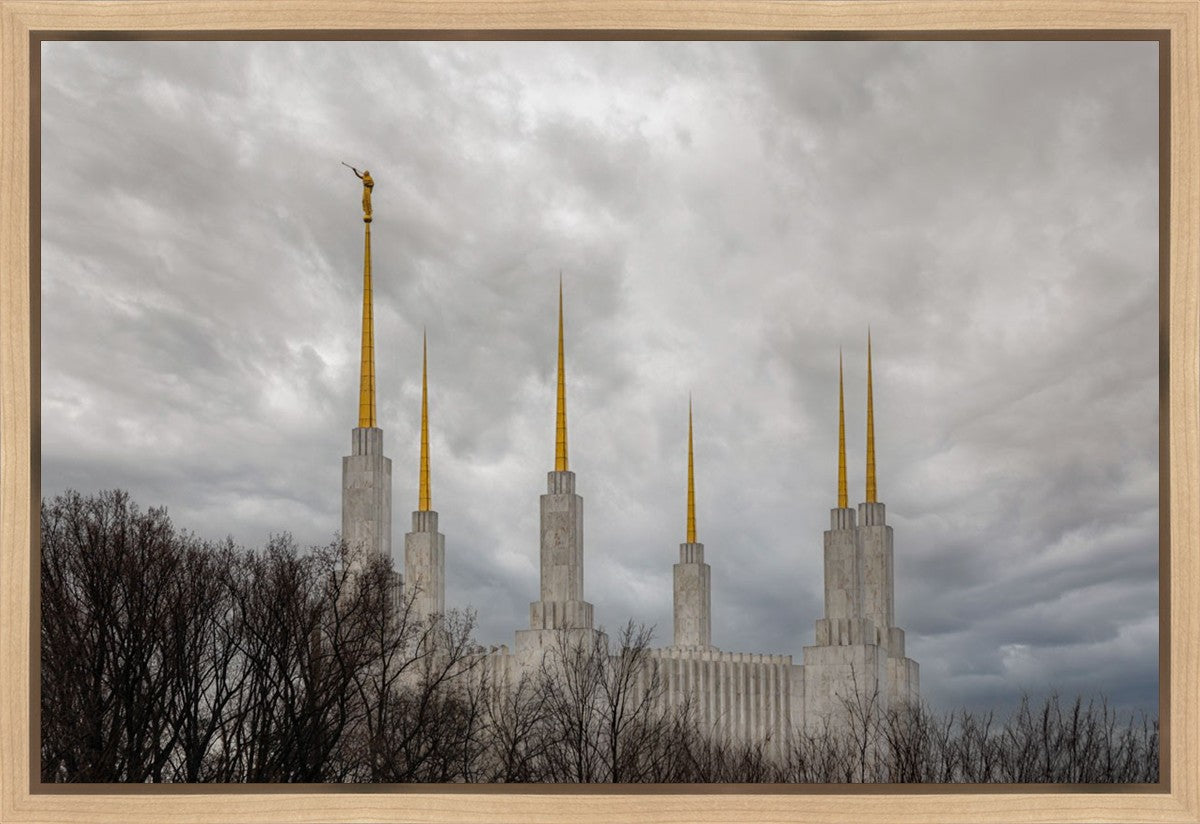 Washington DC Through Life's Storms Gallery Wrap
