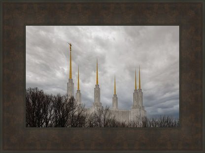 Washington DC Through Life's Storms