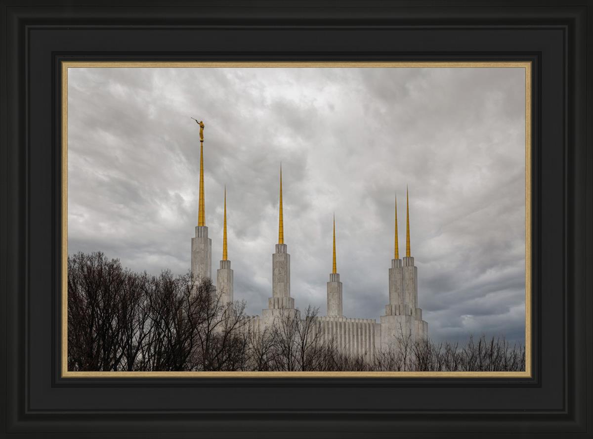 Washington DC Through Life's Storms