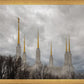 Washington DC Through Life's Storms