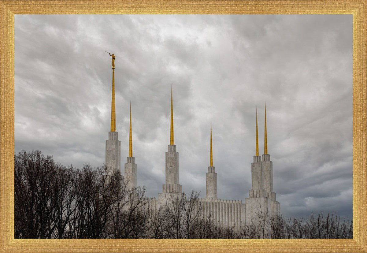 Washington DC Through Life's Storms