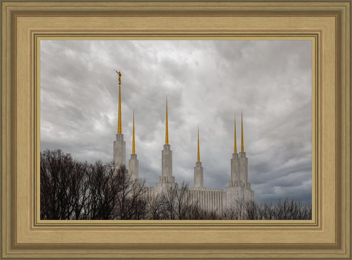Washington DC Through Life's Storms