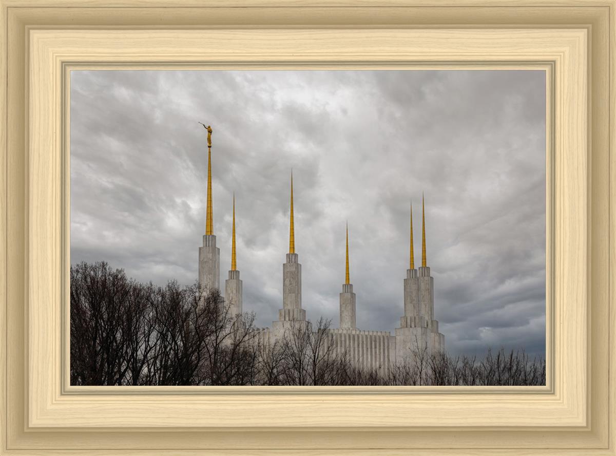 Washington DC Through Life's Storms