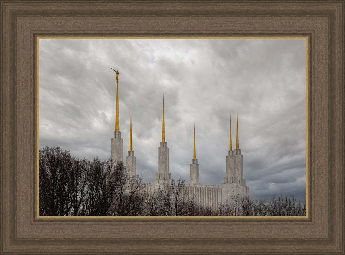 Washington DC Through Life's Storms