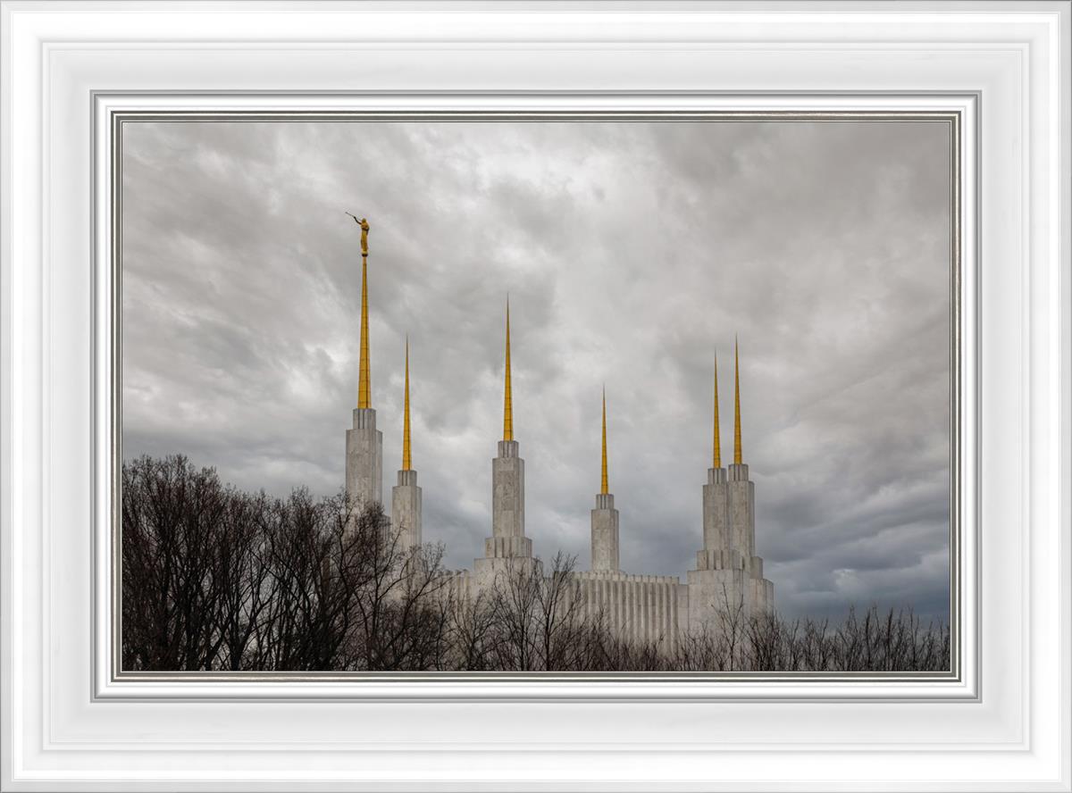 Washington DC Through Life's Storms