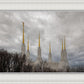 Washington DC Through Life's Storms