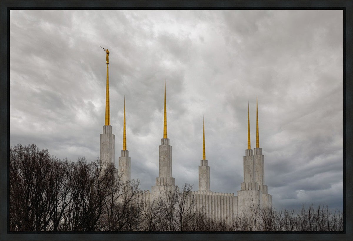 Washington DC Through Life's Storms Gallery Wrap