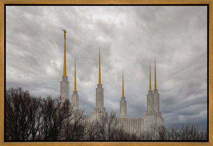 Washington DC Through Life's Storms