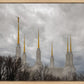 Washington DC Through Life's Storms