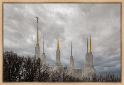 Washington DC Through Life's Storms