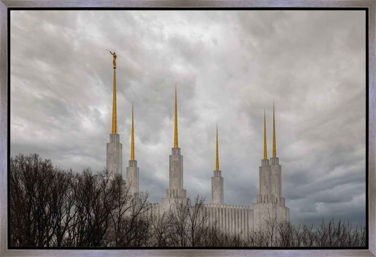 Washington DC Through Life's Storms Gallery Wrap
