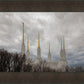 Washington DC Through Life's Storms