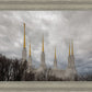 Washington DC Through Life's Storms