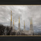Washington DC Through Life's Storms