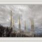 Washington DC Through Life's Storms