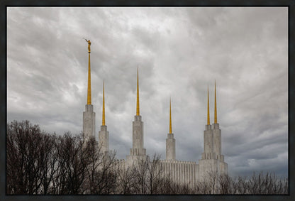 Washington DC Through Life's Storms