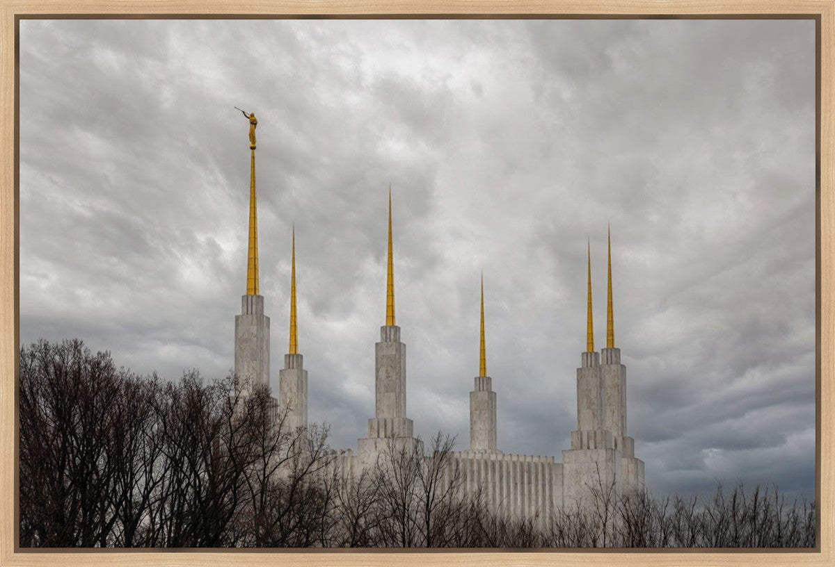 Washington DC Through Life's Storms Gallery Wrap