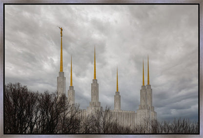 Washington DC Through Life's Storms