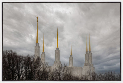 Washington DC Through Life's Storms