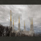 Washington DC Through Life's Storms